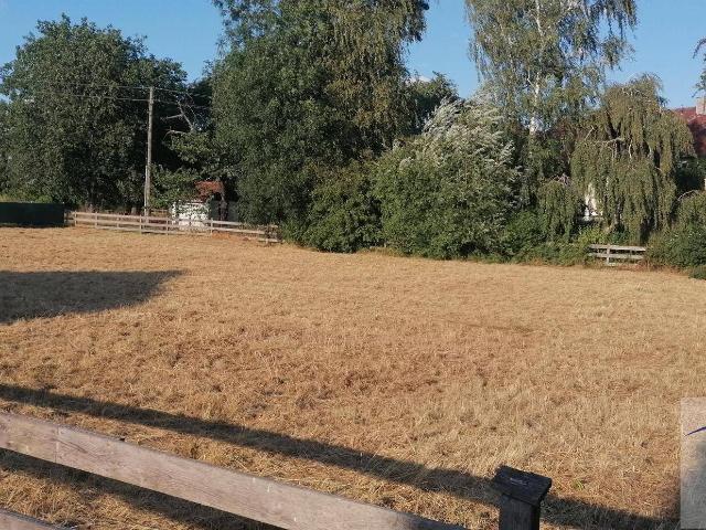 Immobilie kaufen in Buchkirchen, Oberösterreich