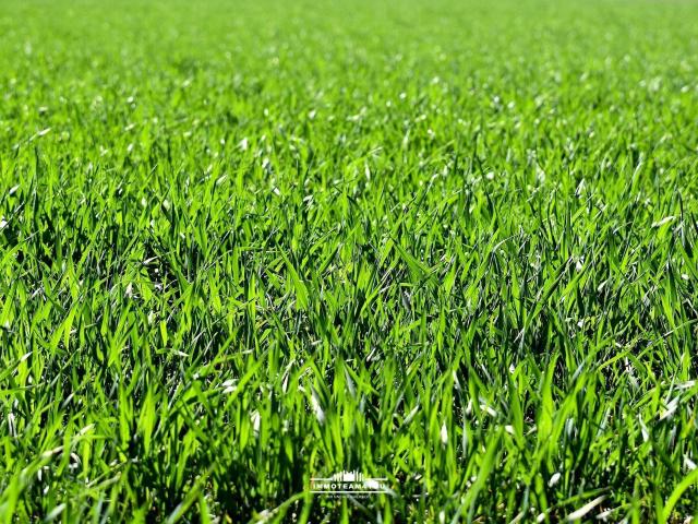 Immobilie kaufen in Aurachamhongar, Oberösterreich