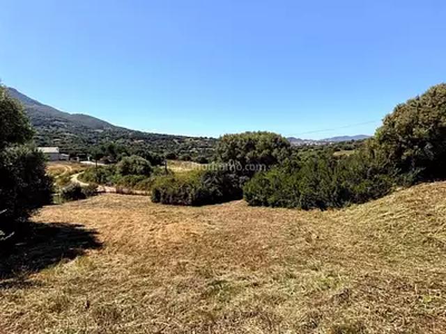 Terrain vente à Ajaccio, Peri