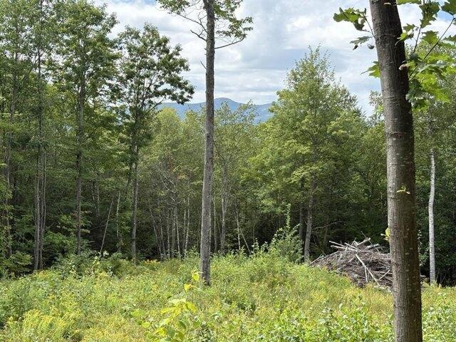 Land for sale in New Hampshire