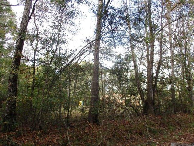 Land for sale in Norwood, Louisiana