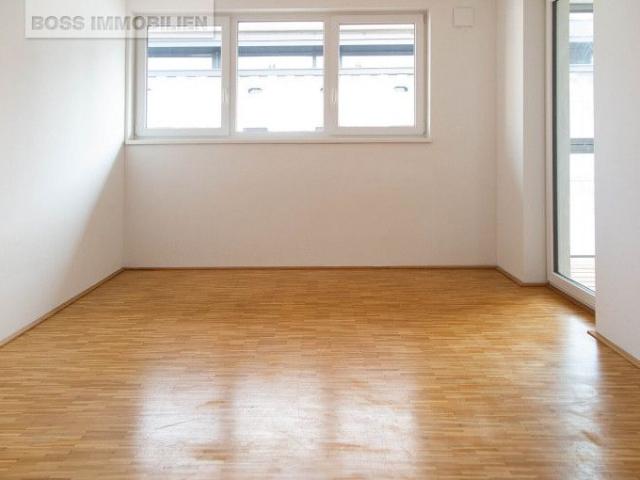 Apartment mieten in Innere Stadt, Linz