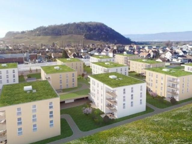 Apartment mieten in Bas-Vully, Mont-Vully