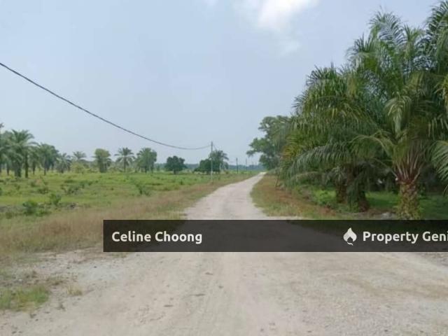 Property for rent in Kangar, Perlis