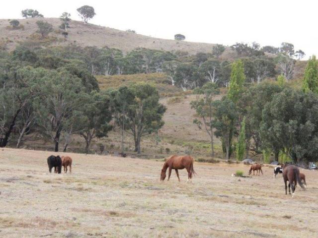 House for sale in Bevendale, New South Wales