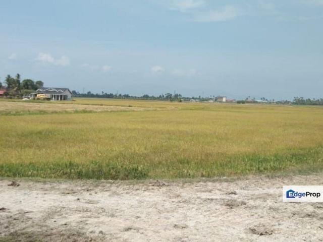 House for sale in Wellesley, Penang