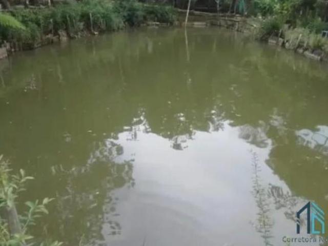 Sítio e chácara venda em Região Geográfica Imediata de Curitiba, Região Metropolitana de Curitiba