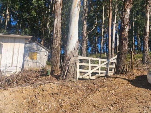 Sítio e chácara venda em Região Geográfica Imediata de Caxias do Sul, Caxias do Sul