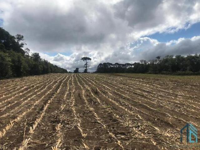 Terreno venda em Umbará, Curitiba