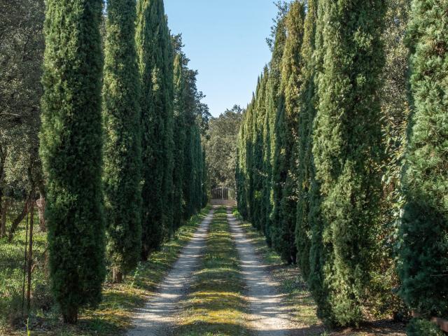 Maison vente à Carpentras, Pernes-les-fontaines