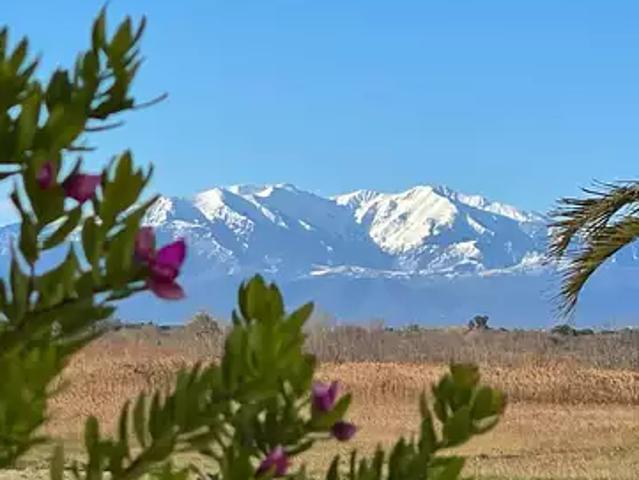 Terrain vente à Perpignan