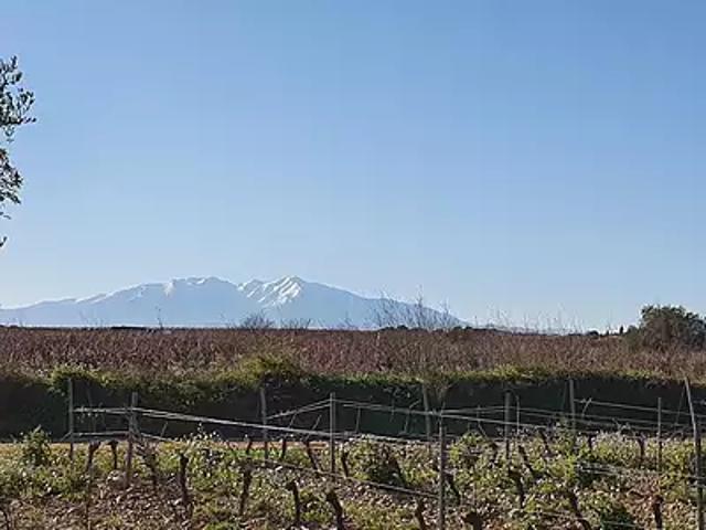 Terrain vente à Perpignan