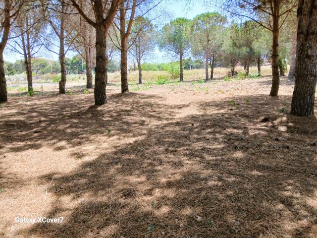 Terrain vente à Perpignan
