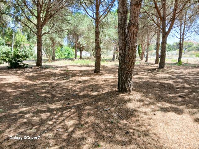 Terrain vente à Perpignan