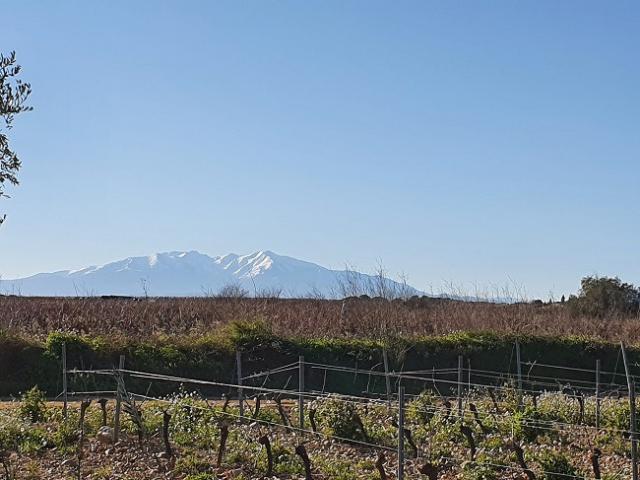 Terrain vente à Perpignan