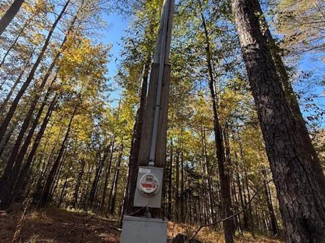 Land for sale in Ashland, Mississippi