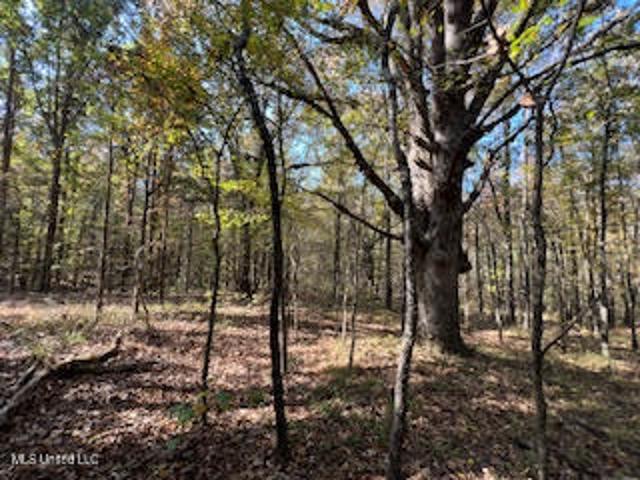 Land for sale in Ashland, Mississippi