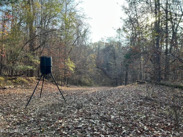 Land for sale in Yazoo City, Mississippi