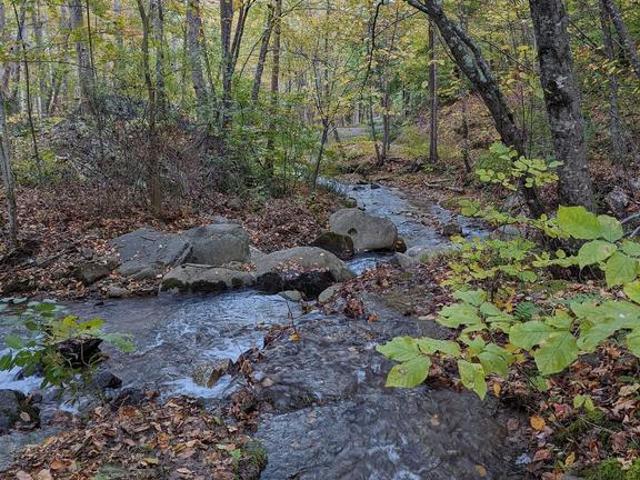 Land for sale in Virginia