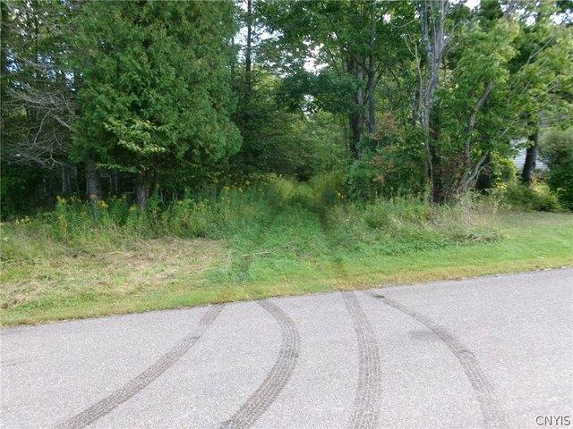 Land for sale in City of Binghamton, Broome County