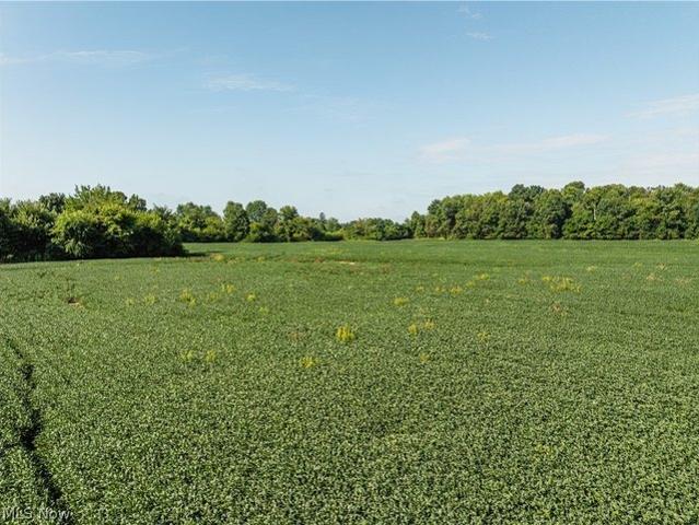 Land for sale in Centerburg, Knox County