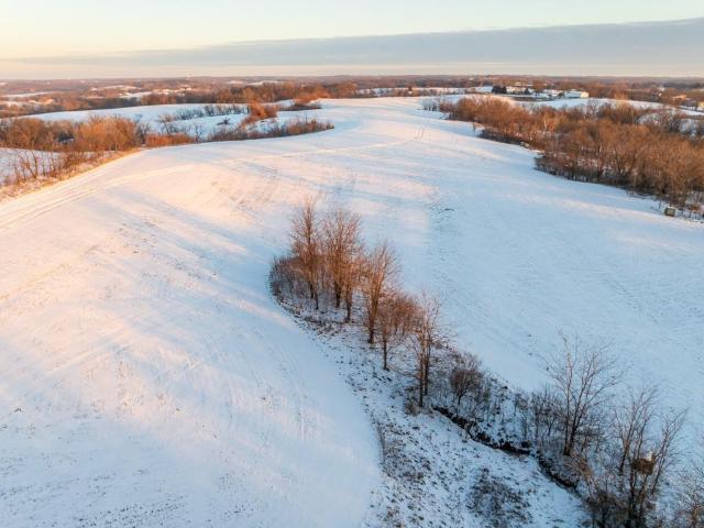 Land for sale in Ray, Missouri