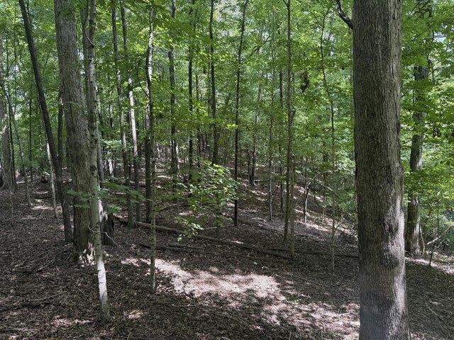 Land for sale in Eddyville, Kentucky