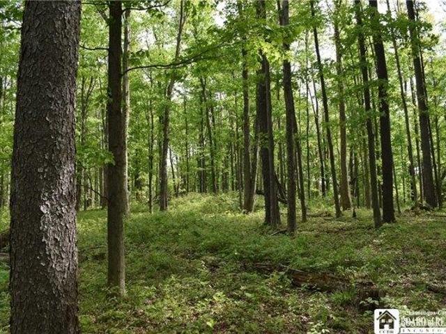 Land for sale in Dayton, New York
