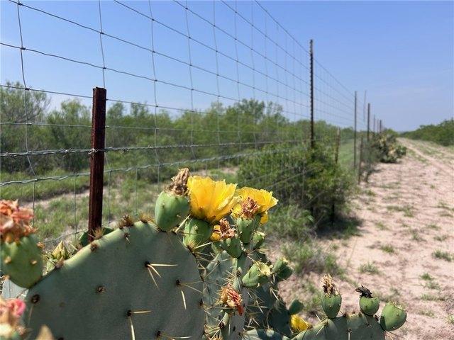 Farm for sale in Freer, Texas