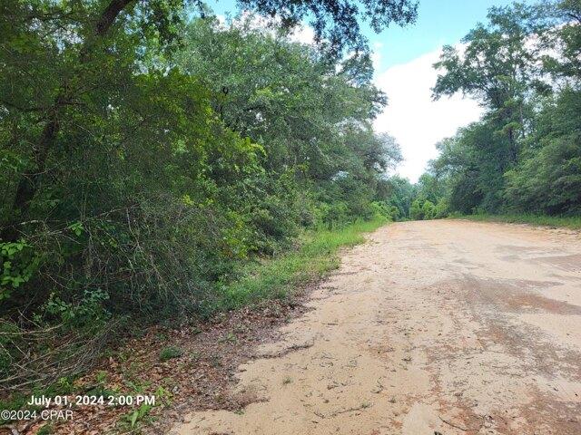 Land for sale in Marianna