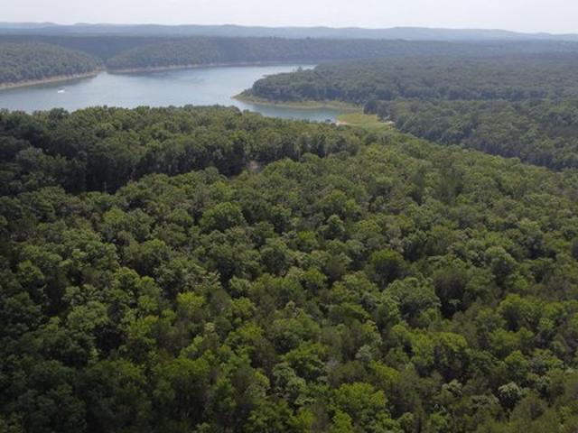 Land for sale in Cedarcreek, Missouri