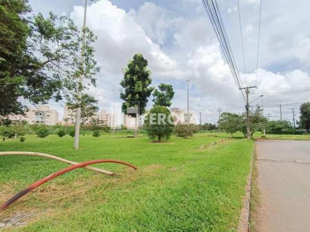 Terreno venda em QI 8, Guará