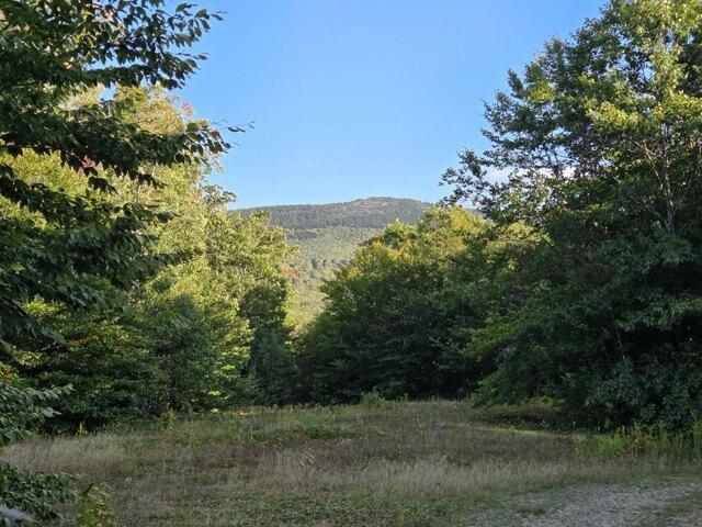 Land for sale in Dickvale, Peru