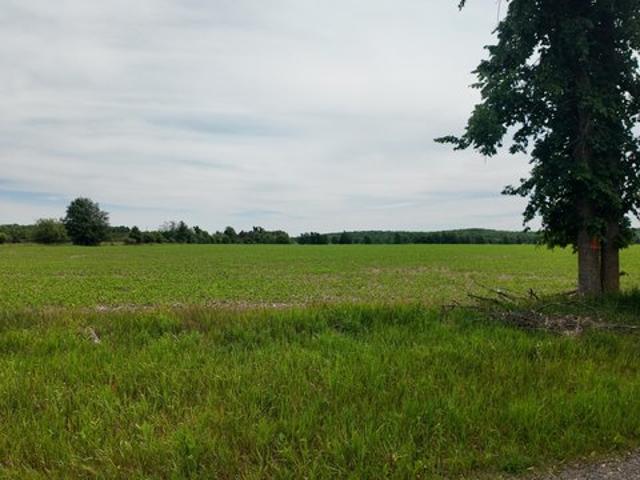 Land for sale in Laona, Wisconsin