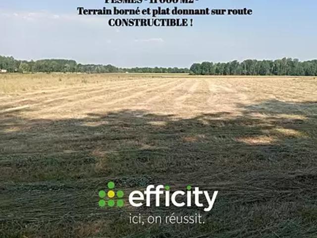 Terrain vente à Vesoul, Pesmes
