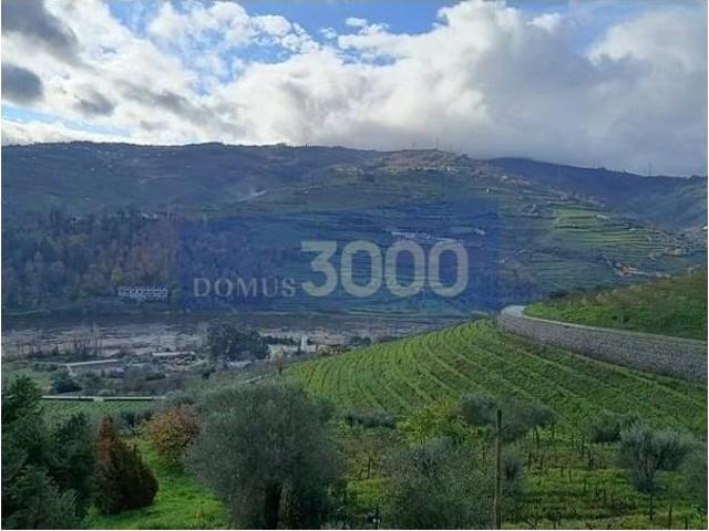 Terreno venda em Peso Da Régua, Vila Real