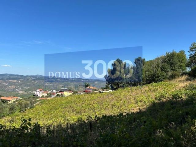 Terreno venda em Peso Da Régua, Vila Real
