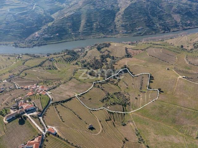 Terreno venda em Peso Da Régua, Vila Real
