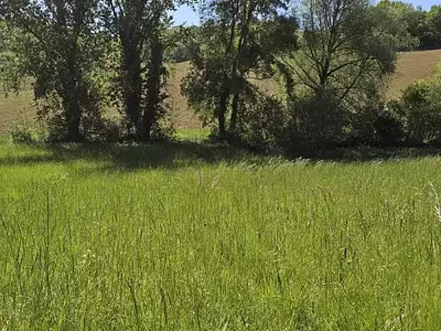 Terrain vente à Auch, Pessan