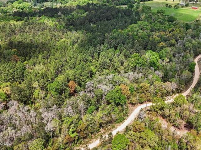 Land for sale in Lucedale, Mississippi