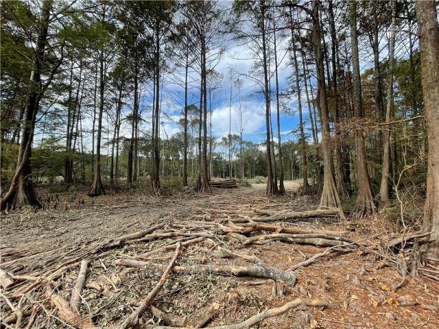 Land for sale in Coushatta, Red River Parish