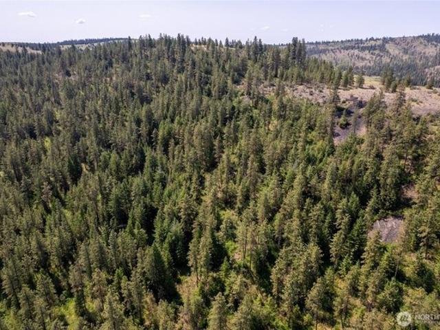Land for sale in Coulee Dam, Washington