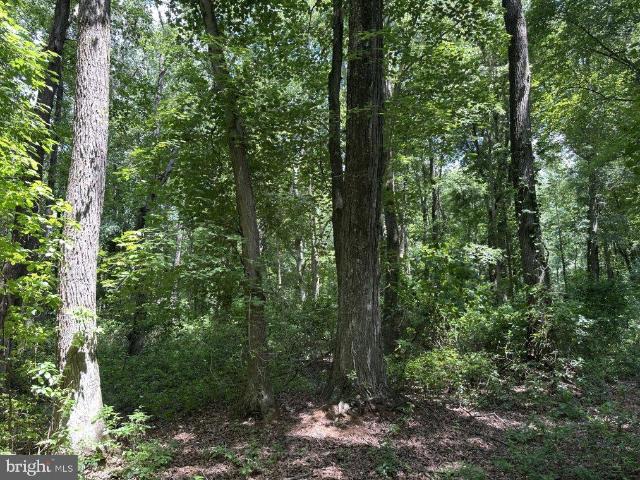 Land for sale in Sudlersville, Maryland