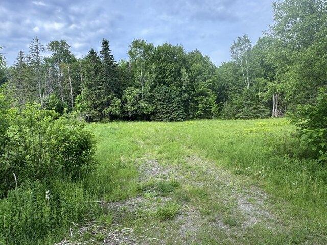 Land for sale in Orient, Maine