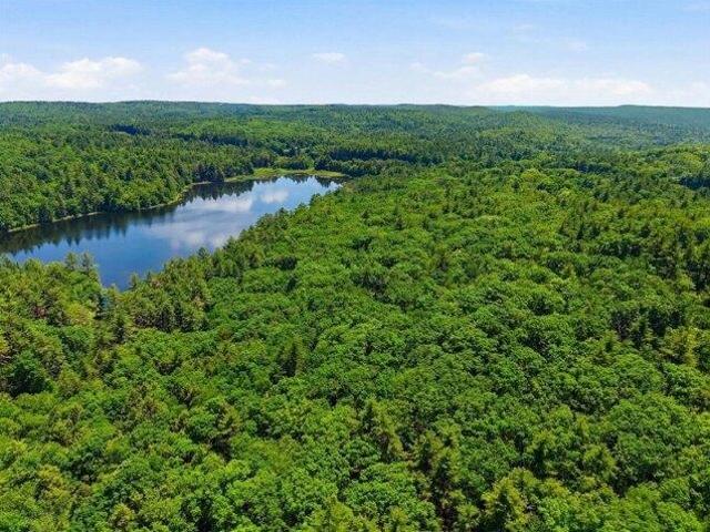 Land for sale in Petersham, Massachusetts