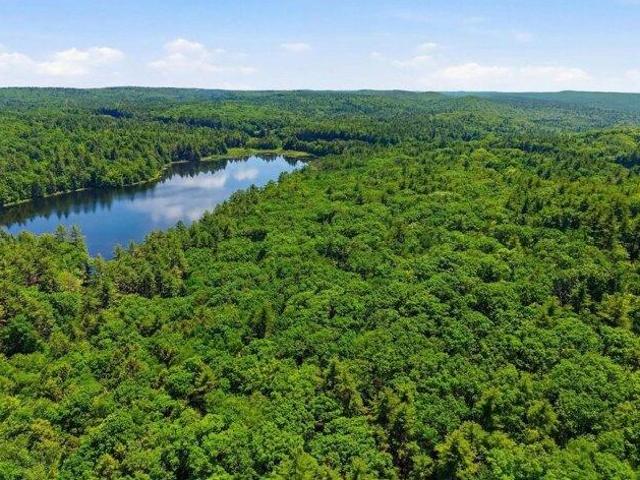 Land for sale in Nichewaug, Petersham