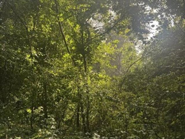 Land for sale in Hardwick, Massachusetts