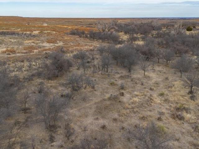 Farm for sale in Mclean, Texas