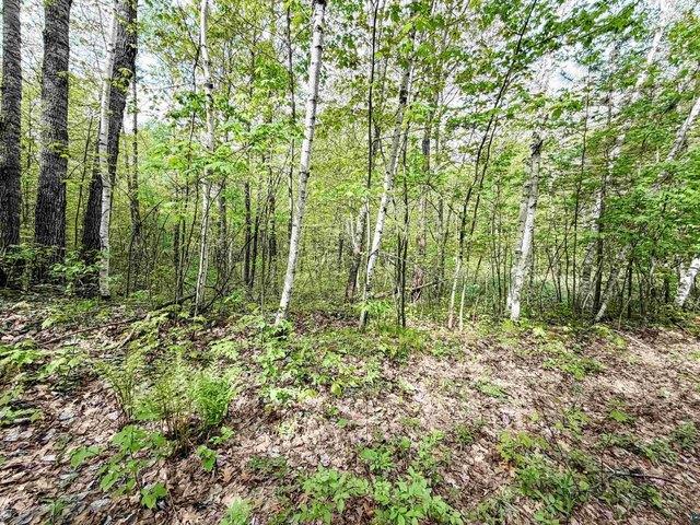 Land for sale in Wisconsin
