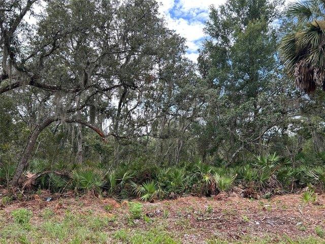 Land for sale in Pierson, Florida